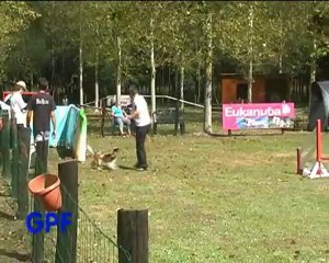 Fiscèle ckc total wmv