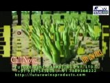 Aloe Vera Juice India