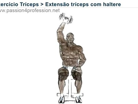 Extensão tríceps com haltere