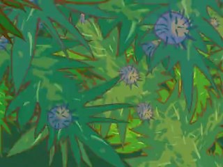 Смешарики. Моя прелесть