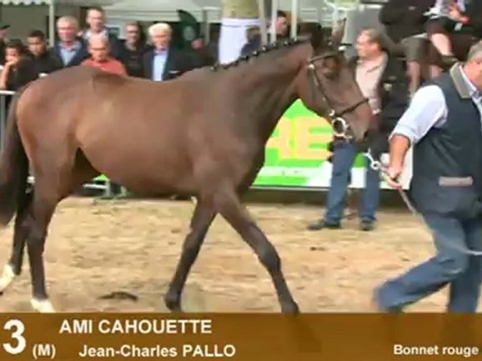 Lot 33