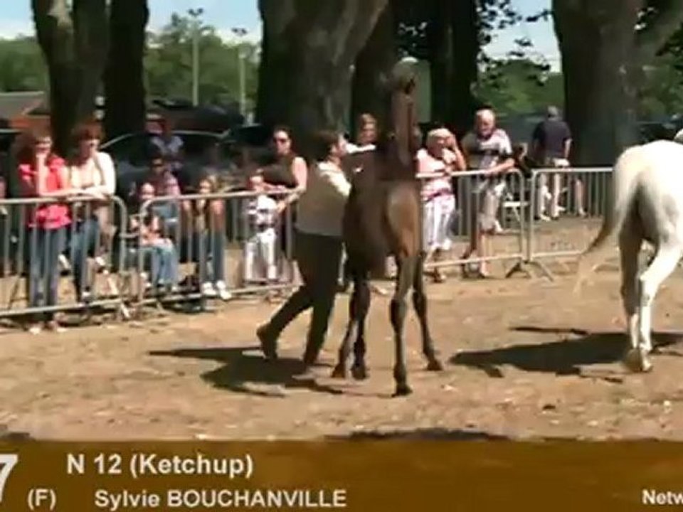 Lot 57