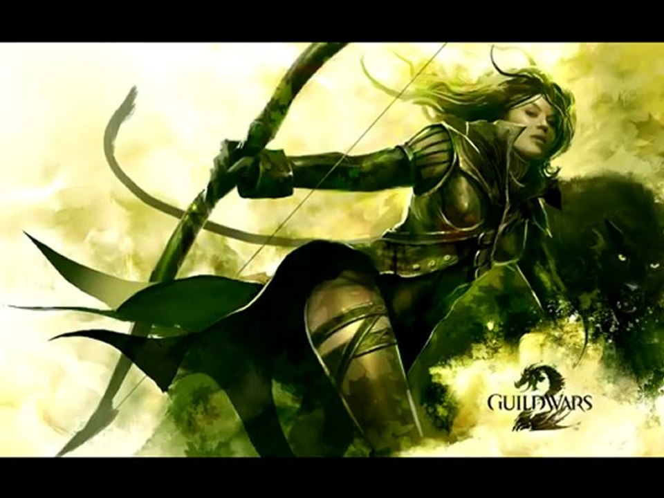 Guild Wars 2 : VideoTest
