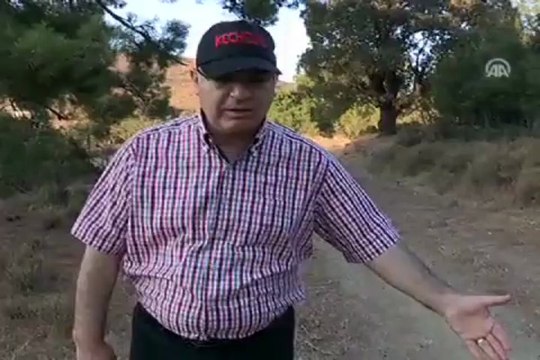 Ormanları yangından ''keçiler'' koruyacak