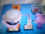 Un gars avec une coupe de fille - Animal Crossing Wild World