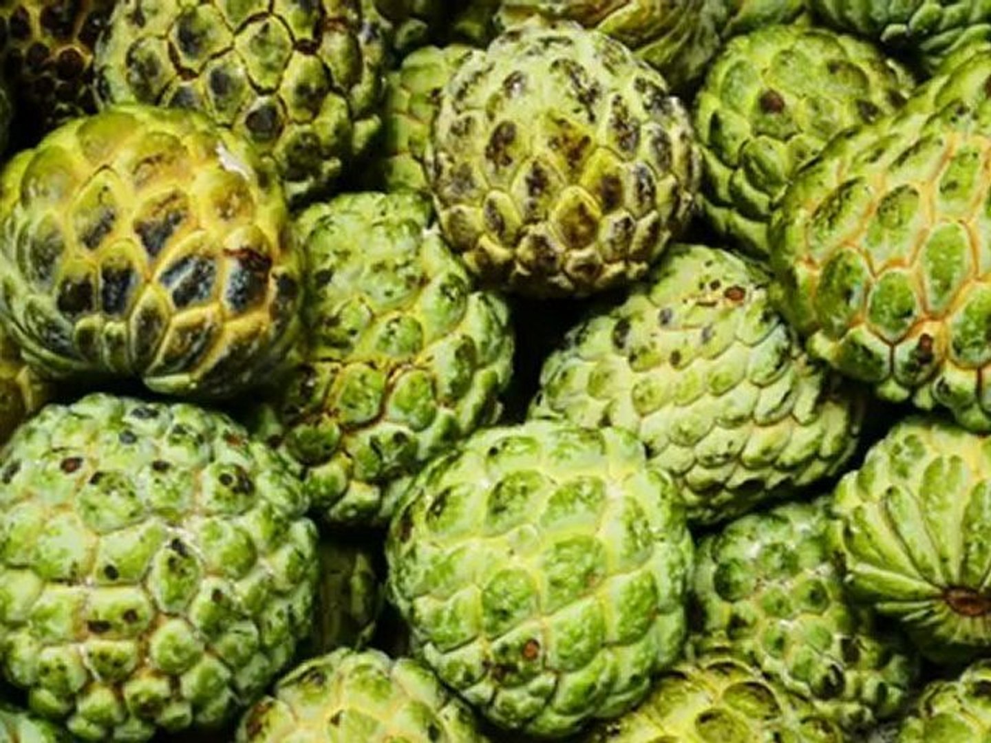 ⁣Food Tourism in Jamaica?