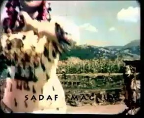 1)Zarqa..A super hit beautiful Pak classical movie Part-1 16 - YouTube