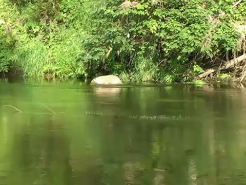 Русские живые картины 1280x720