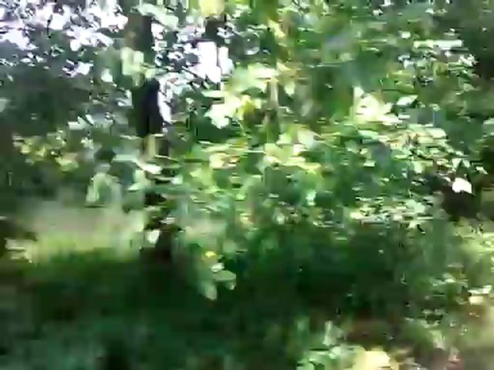 WP_20120829_130225Z