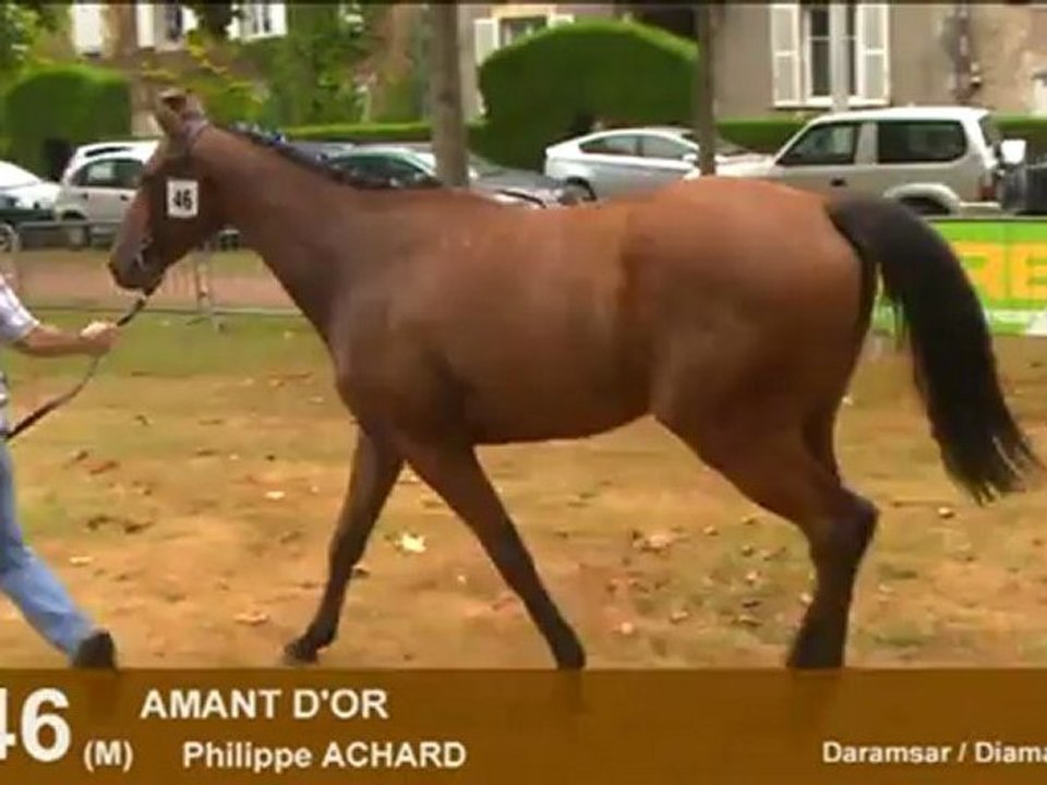 Lot 46