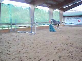 tempete de vaux saut liberte 1
