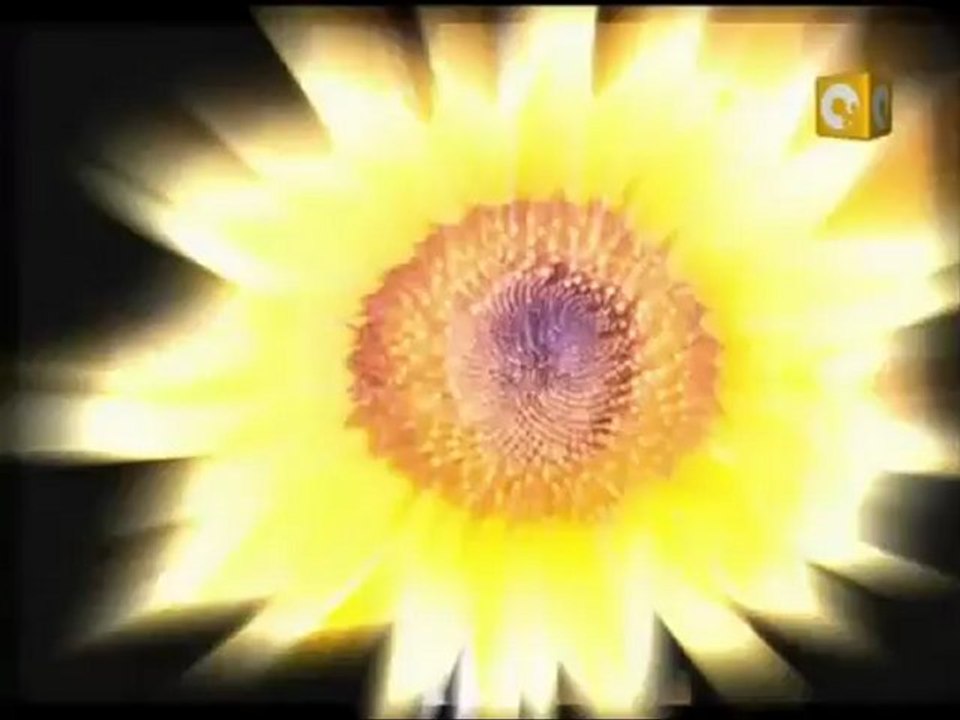 آخر كلام: إتهامات المجلس العسكري للحركات الوطنية