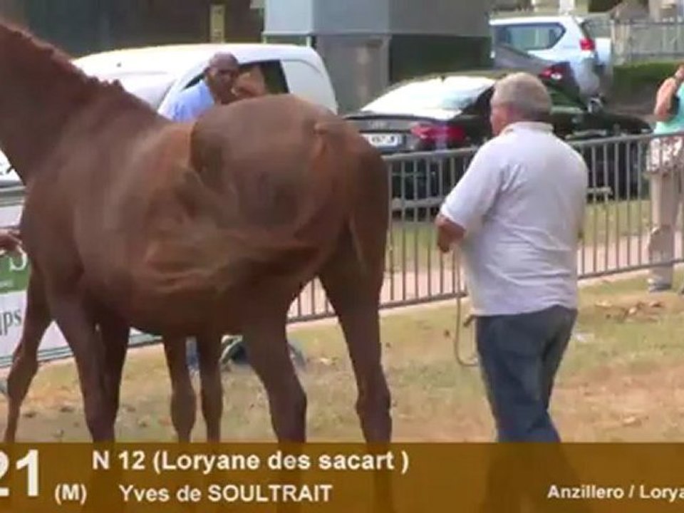 Lot 121
