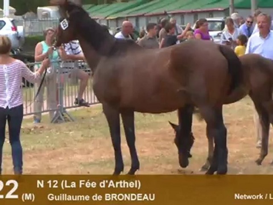 Lot 122