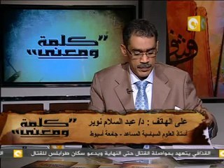 كلمة ومعنى - د. ضياء رشوان: حكومة تكنوقراط