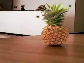 Maxter - Pineapple shit - Kill Beiber !
