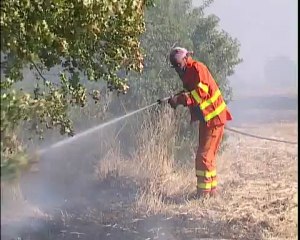 BOSCHI: BRUCIA IL MATERANO 30-8-2012