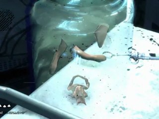 PC - Batman Arkham Asylum - 03