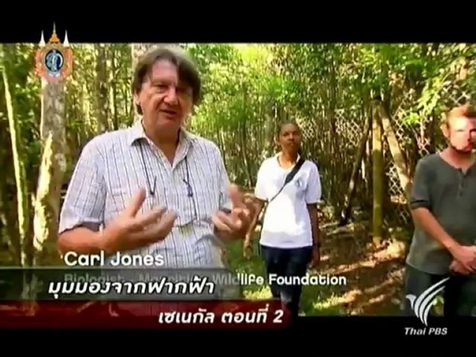 มุมมองจากฟากฟ้า - เซเนกัล (2) 29Aug12