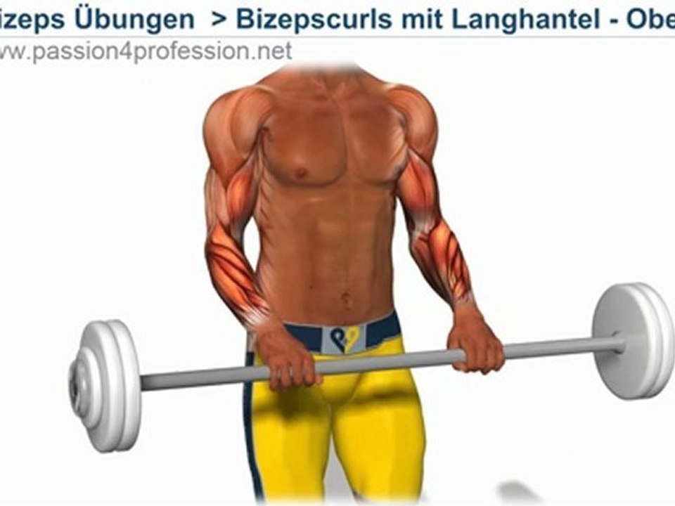 Bizepscurls mit Langhantel, Obergriff - Unterarm training