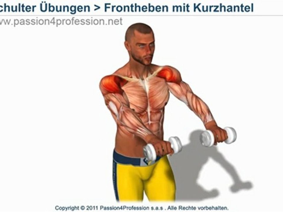 Frontheben mit Kurzhanteln
