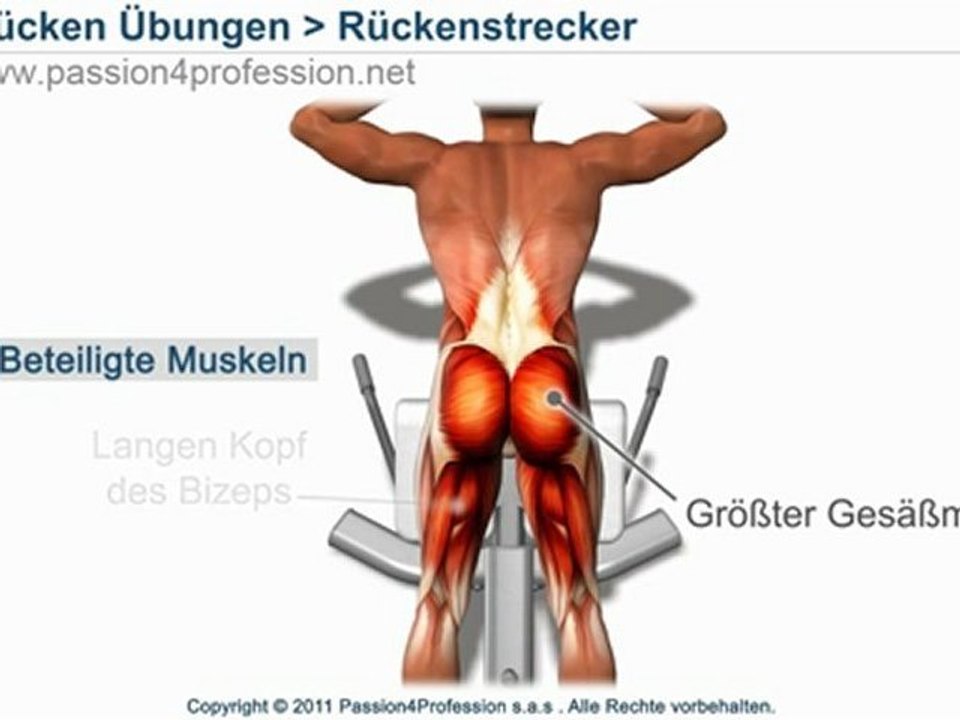 Rückenstrecker Hyperextension-Bank