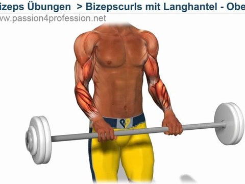 Unterarm training Bizeps curls