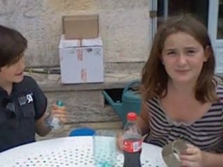 Piège à guêpe, mouches, abeilles etc ...