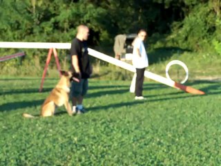 agility progres elgos