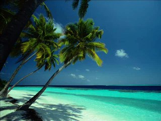 Mudança - Roberto Carlos (By Lipe)