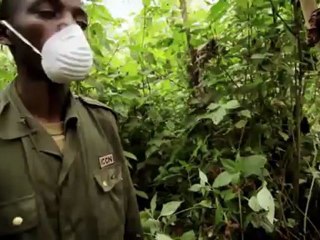 earthrise - Series two, episode six - Tales from Virunga