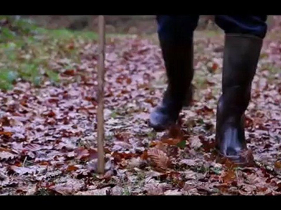 The Perigord-Limousin Natur Park