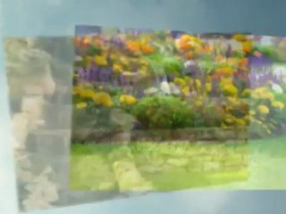 Antonio Ochoa Landscaping - (760) 443-2461