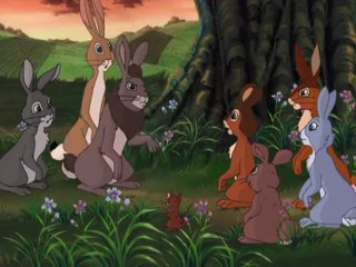 Watership Down - Series 1-Episode- 02 Home On The Down