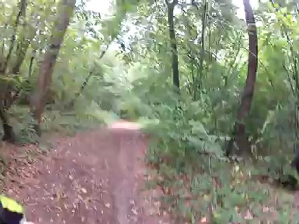 Gopro HD hero 2 Full HD-Rue des bois