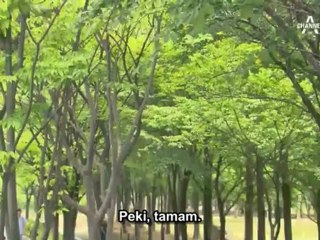 Panda.and.Hedgehog.E3koredaslar