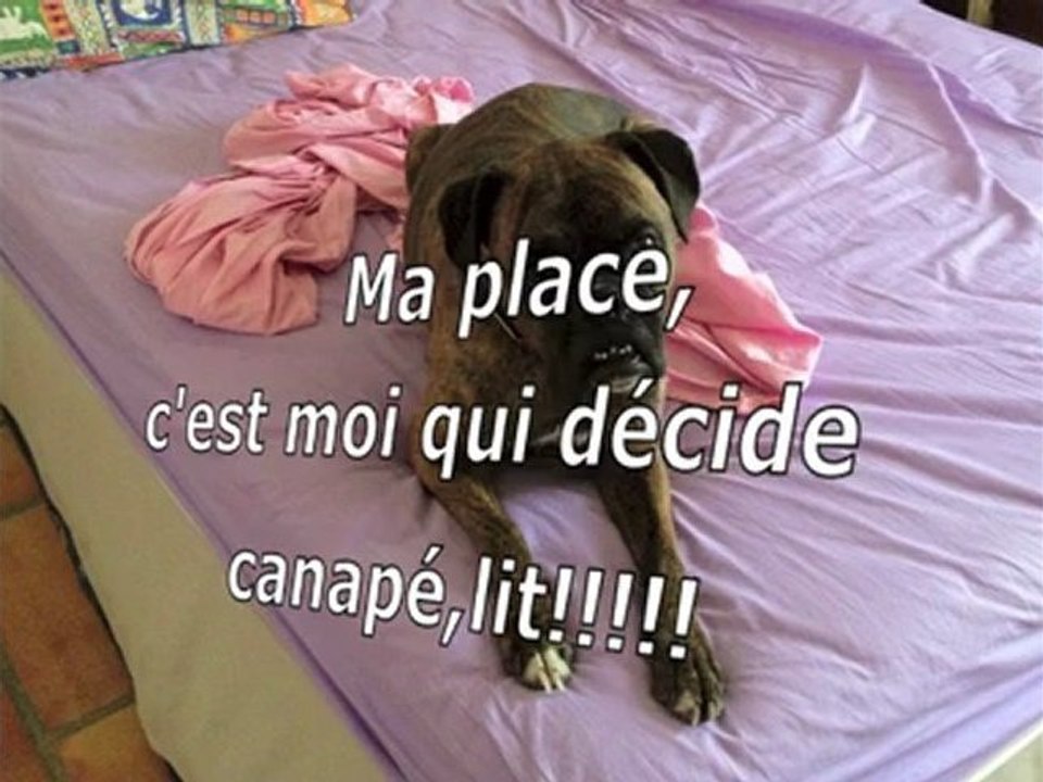 education-comportementaliste 2