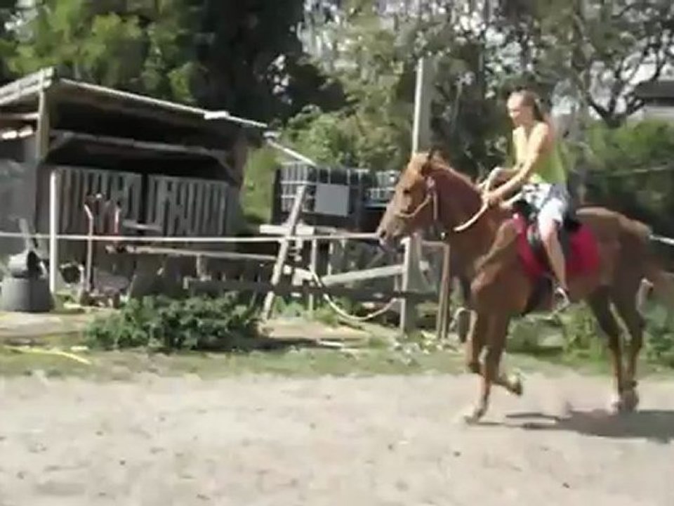 Kaïzer galop au licol