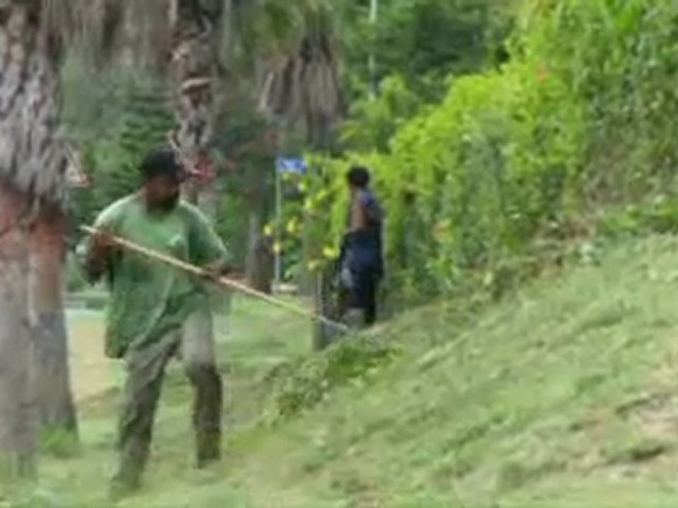 Mode d'emploi(s). Entretien d'espaces verts et auxiliaire médical