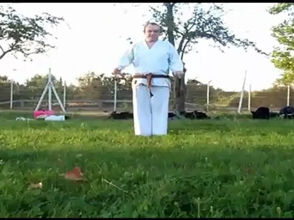 karaté1