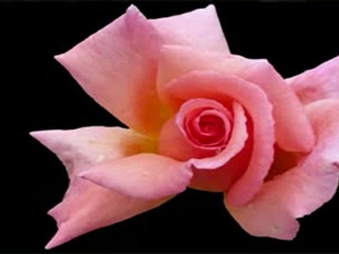 BILITIS ❤ FRANCAIS LAI -❤ DAVID HAMILTON