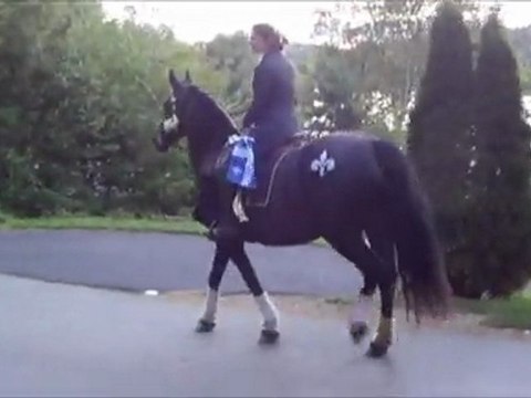 Version complète: À cheval pour mon comté! Samuelle, Candidate ON - Bertrand / A campaign on horseback (full version)