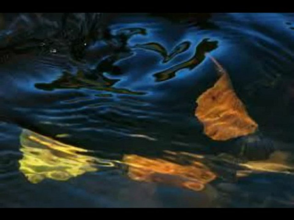 Luc ROMANN  . Amours de mes dix ans .