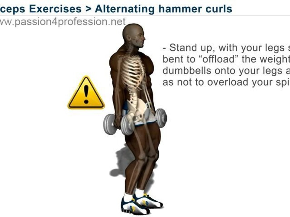 Alternating hammer curls (standing with dumbbells)