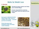 Weight Loss: Lose Your Weight Safely with Natural Herbal Remedies