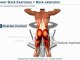 Back extension / Hyperextension ( lower back exercises )