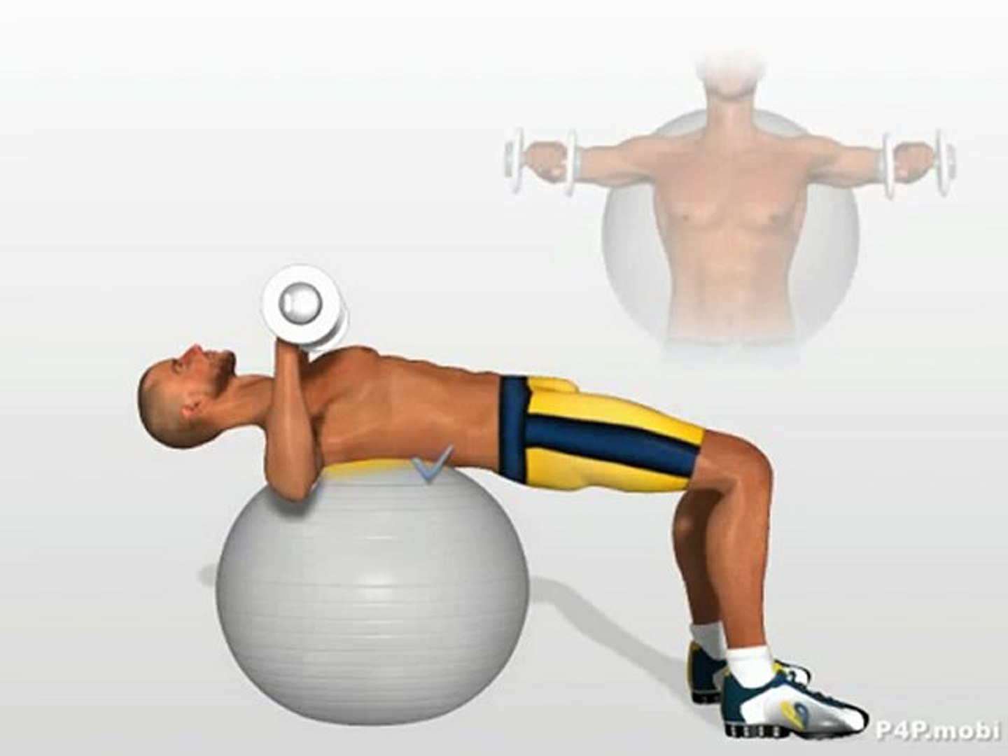 Chest Exercises Dumbbell Press on swiss ball