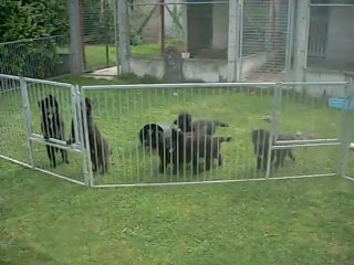 31 août 2012 : changement de lieu de vie ... dans la contestation