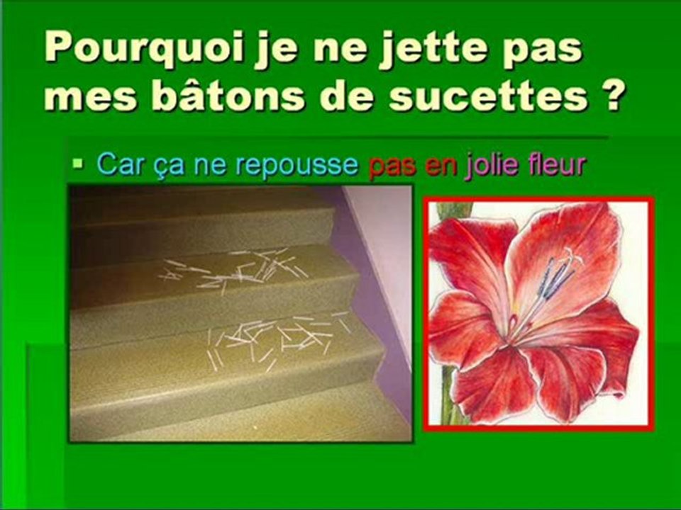 Semaine éco-citoyenneté "RESPECT !" du Collège Vaudan (Pas-de-Calais)