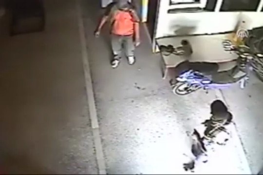 Kablo hırsızı domatesi de yedi